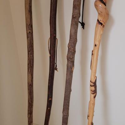 Collection of Canes and Walking Sticks (L-CE)
