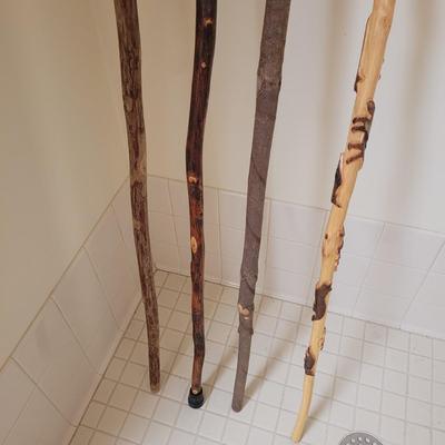 Collection of Canes and Walking Sticks (L-CE)
