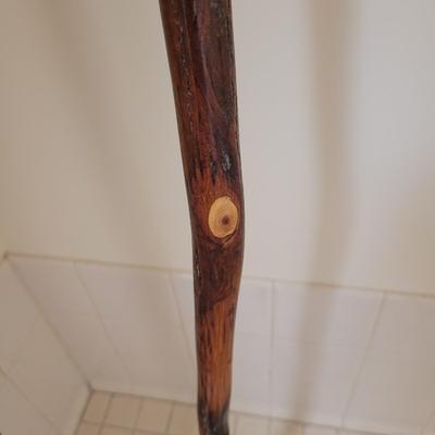 Collection of Canes and Walking Sticks (L-CE)