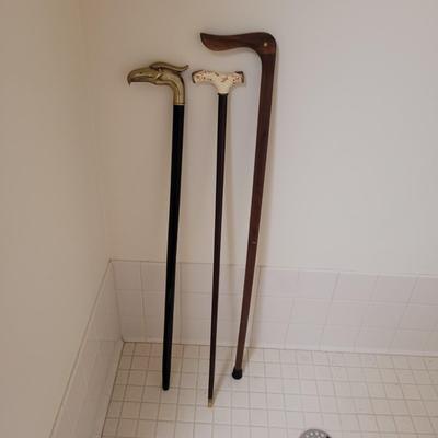 Collection of Canes and Walking Sticks (L-CE)
