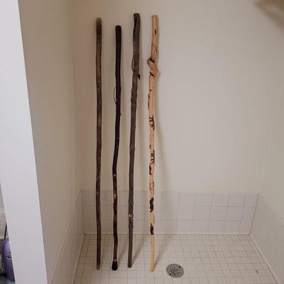 Collection of Canes and Walking Sticks (L-CE)