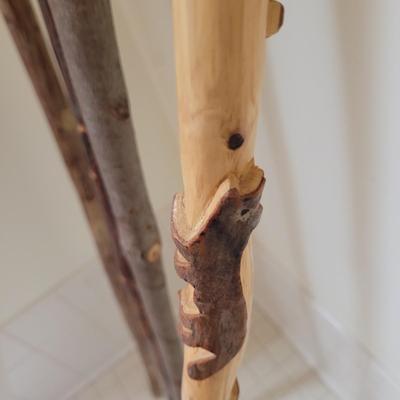 Collection of Canes and Walking Sticks (L-CE)