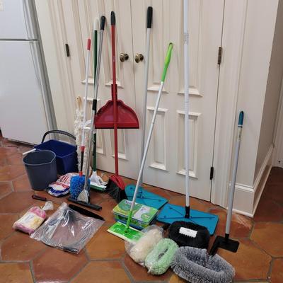 Assortment of Cleaning Tools and Accessories (L-CE)
