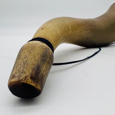 Blow Signal Horn