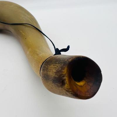 Blow Signal Horn