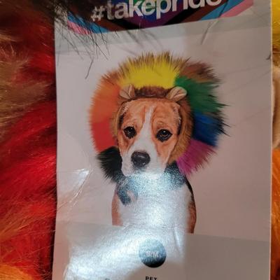 Dog Rainbow Lionhead Costumes