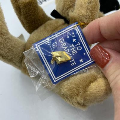 Ganz graduation bear