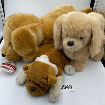 Puppies