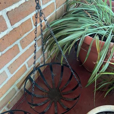 Plant/Pot Lot