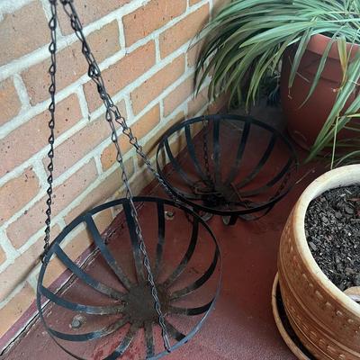 Plant/Pot Lot