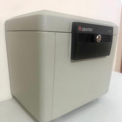 SENTRY 1170 Fireproof Safe with 2 Keys