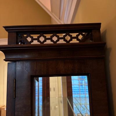 Burl Wood Veneer Lighted Display Case (SR-KL)