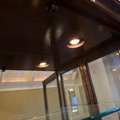 Burl Wood Veneer Lighted Display Case (SR-KL)