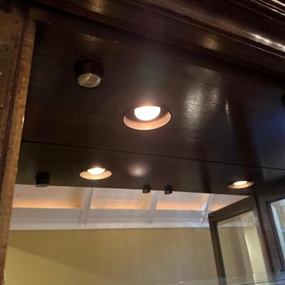Burl Wood Veneer Lighted Display Case (SR-KL)