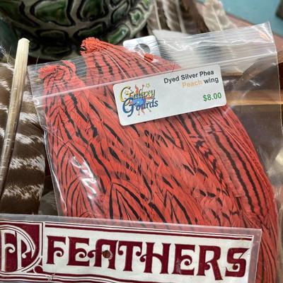 Collection of Feathers for Art