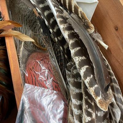 Collection of Feathers for Art