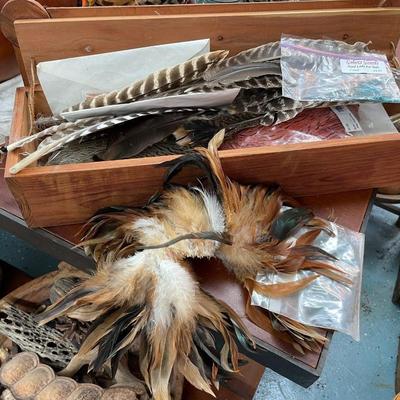Collection of Feathers for Art