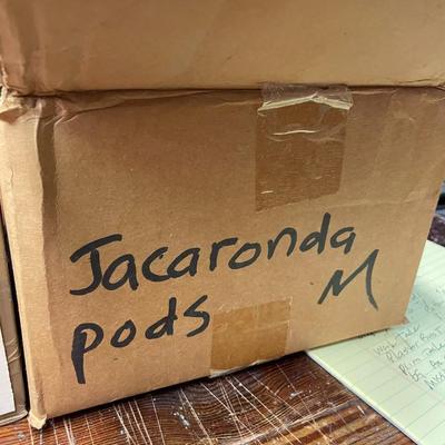 Lot of Art Supplies - Bone Beads, Jacaronda Pods