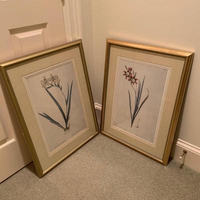 Framed Botanical Prints (BR3-KW)