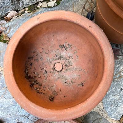 Potted Arborvitae Plant & Terracotta Pots (P-RG)
