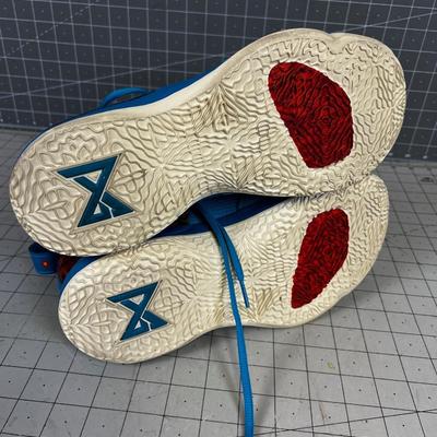 Nike BLUE Pendletons 