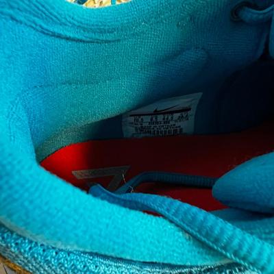 Nike BLUE Pendletons 