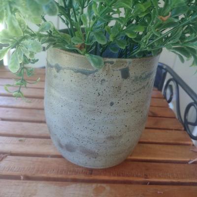 Live Plant in Pottery Pot