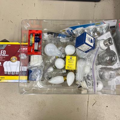 Light Bulbs & Thermostats (G-MG)