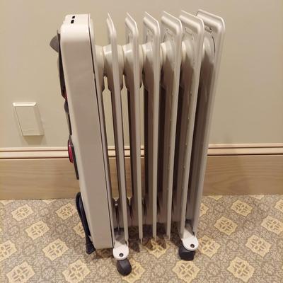 Dyson and DeLonghi Space Heaters (PB-BBL)