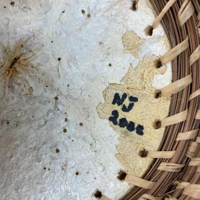 Folk Art Basket Gourd, Raffia & Long Needle