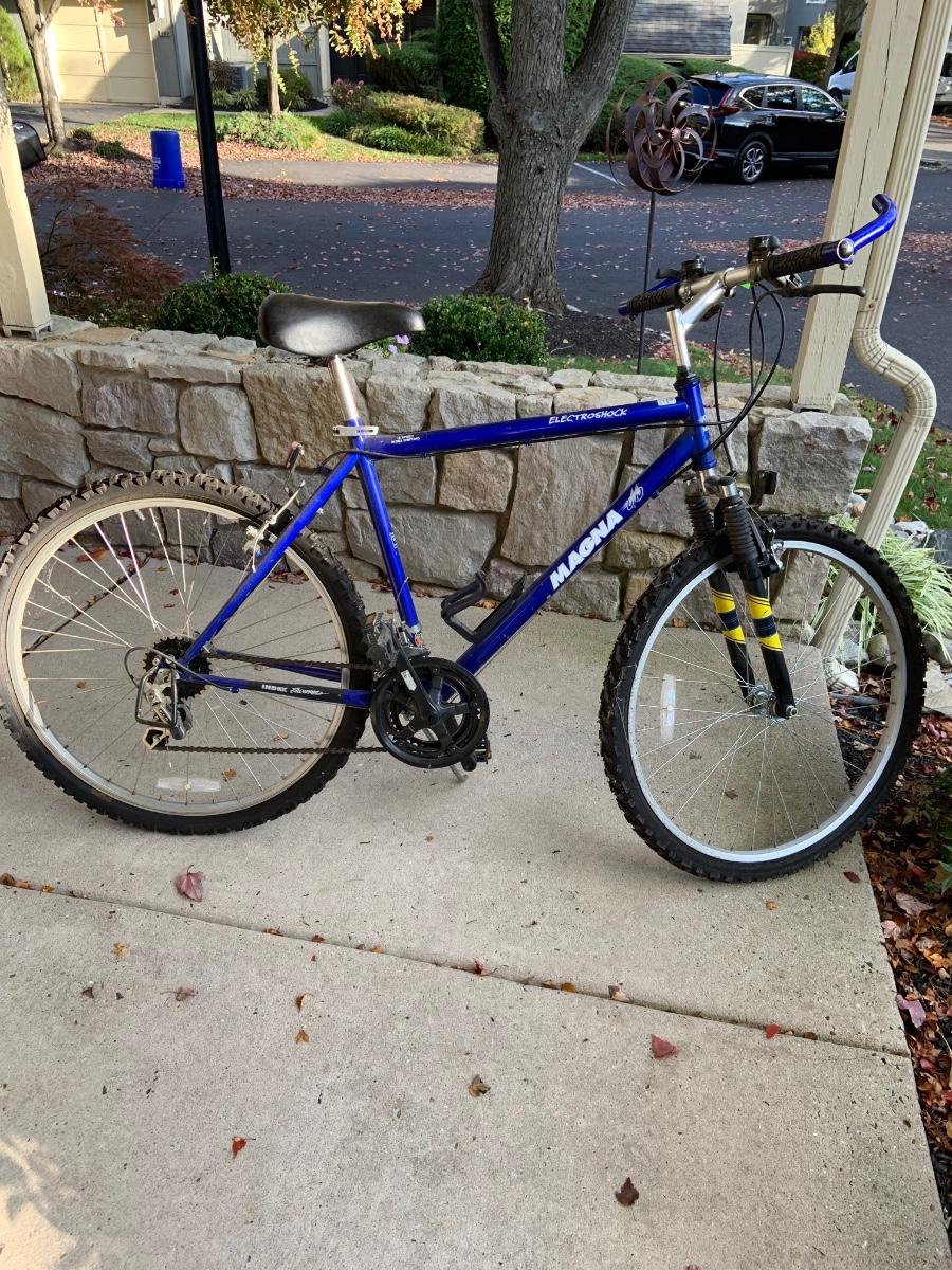 LOT 72G Magna Electroshock Mountian Bike California Design EstateSales