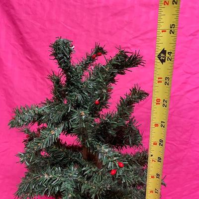 Small tree