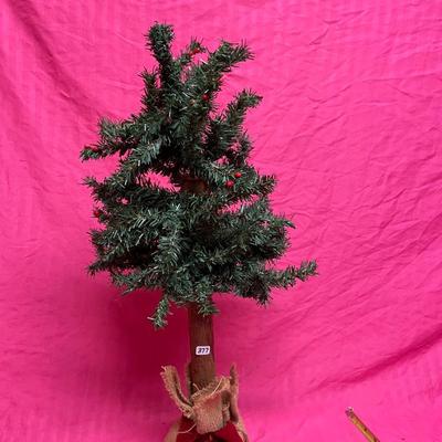 Small tree
