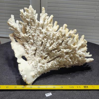 Coral