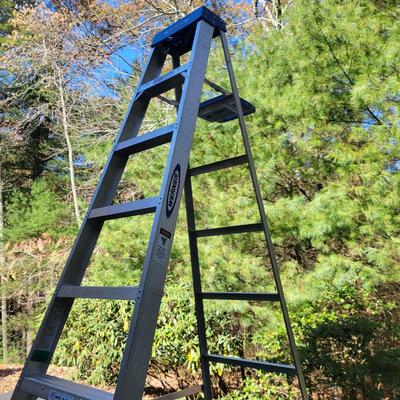 Werner A Frame Ladders (G-DW)