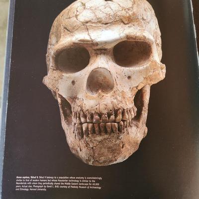 From Lucy To Language by Donald Johanson & Blake Edgar