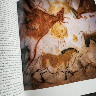 Lascaux - Movement, Space And Time by Norbert Aujoulat