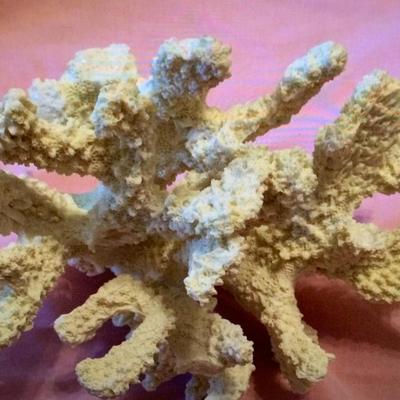 Sea Coral White Lace 6