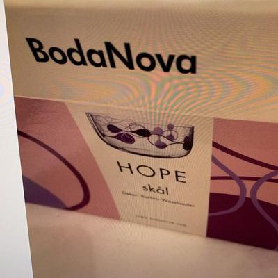 BodaNova Glass Bowl Czech Republic  New in box Hope