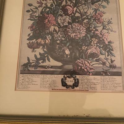 Framed Floral Prints by H. Fletcher (BR3-MG)