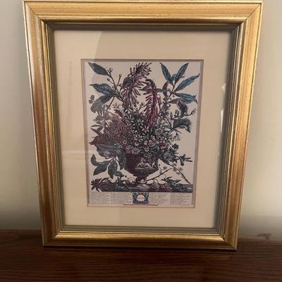 Framed Floral Prints by H. Fletcher (BR3-MG)