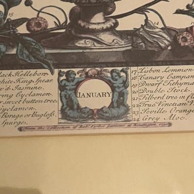 Framed Floral Prints by H. Fletcher (BR3-MG)