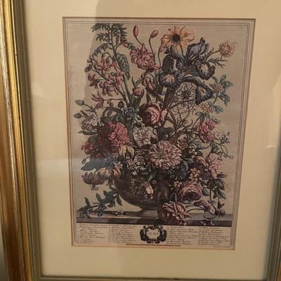 Framed Floral Prints by H. Fletcher (BR3-MG)