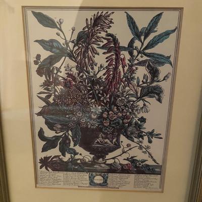 Framed Floral Prints by H. Fletcher (BR3-MG)