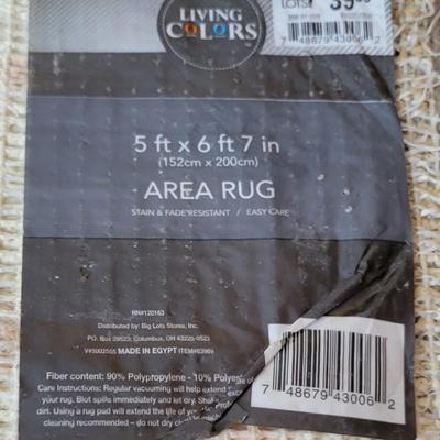 5 x 6' 7" Area Rug