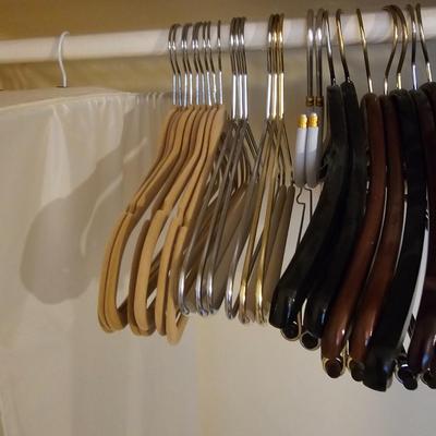 Clothes Storage Bags, Wood Hangers & More  (BR2-JS)