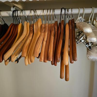 Clothes Storage Bags, Wood Hangers & More  (BR2-JS)
