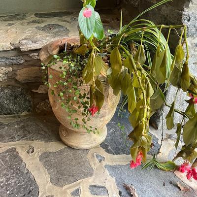 Pair of Eschbach Planters (P-MG)