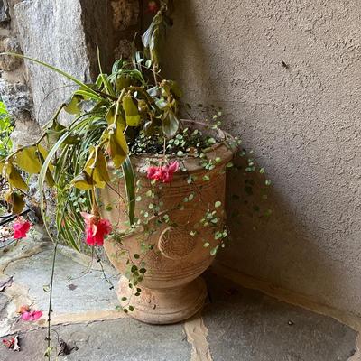 Pair of Eschbach Planters (P-MG)