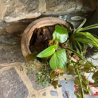 Pair of Eschbach Planters (P-MG)